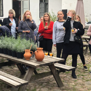 Deltagere ved et arrangement på en urteskole, hvor de lærer om planter og arbejder med dem.