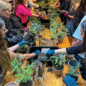 Folk, der dyrker have og eksperimenterer med urter ved et arrangement på en urteskole, hvor de lærer om pleje og anvendelse af planter.