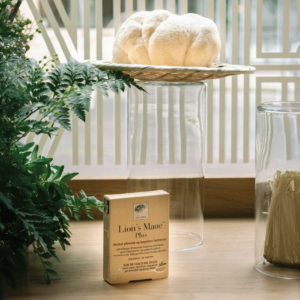 Det nye produkt »Nordic Lion’s Mane Plus™« blev præsenteret ved arrangementet på urteskolen.